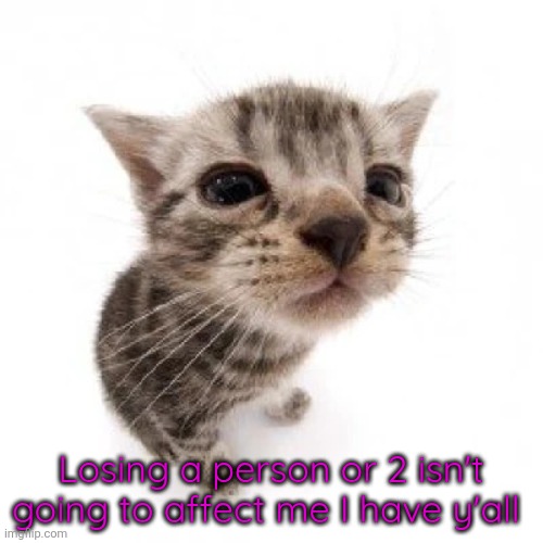 El gatito | Losing a person or 2 isn't going to affect me I have y'all | image tagged in el gatito | made w/ Imgflip meme maker