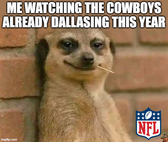 Dallasing | ME WATCHING THE COWBOYS ALREADY DALLASING THIS YEAR | image tagged in nfl,dallas cowboys | made w/ Imgflip meme maker