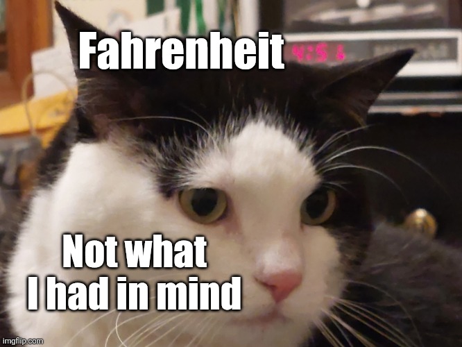 Misunderstood end times novel | Fahrenheit; Not what I had in mind | image tagged in the future,fahrenheit 451,end of the world,book,cat,fire | made w/ Imgflip meme maker