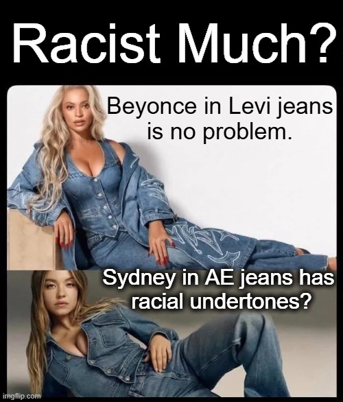 Both wear jeans well & have good genes. What's the problem? | Racist Much? Beyonce in Levi jeans
is no problem. Sydney in AE jeans has 
racial undertones? | image tagged in beyonce,sydney,jeans,genes,think about it,racism | made w/ Imgflip meme maker