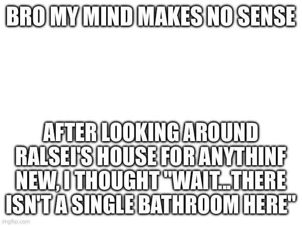 Hmmmmm | BRO MY MIND MAKES NO SENSE; AFTER LOOKING AROUND RALSEI'S HOUSE FOR ANYTHINF NEW, I THOUGHT "WAIT...THERE ISN'T A SINGLE BATHROOM HERE" | made w/ Imgflip meme maker