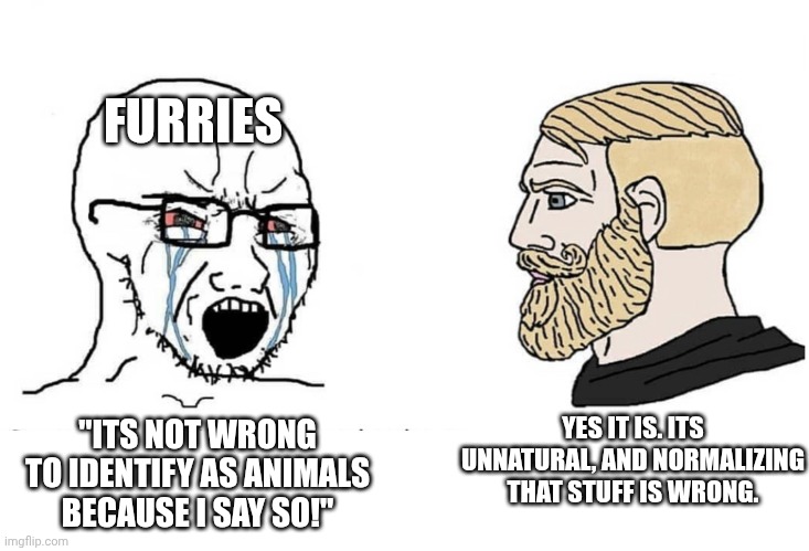 Furries failing to make points as usual | FURRIES; "ITS NOT WRONG TO IDENTIFY AS ANIMALS BECAUSE I SAY SO!"; YES IT IS. ITS UNNATURAL, AND NORMALIZING THAT STUFF IS WRONG. | image tagged in soyboy vs yes chad,anti furry,soyjak | made w/ Imgflip meme maker