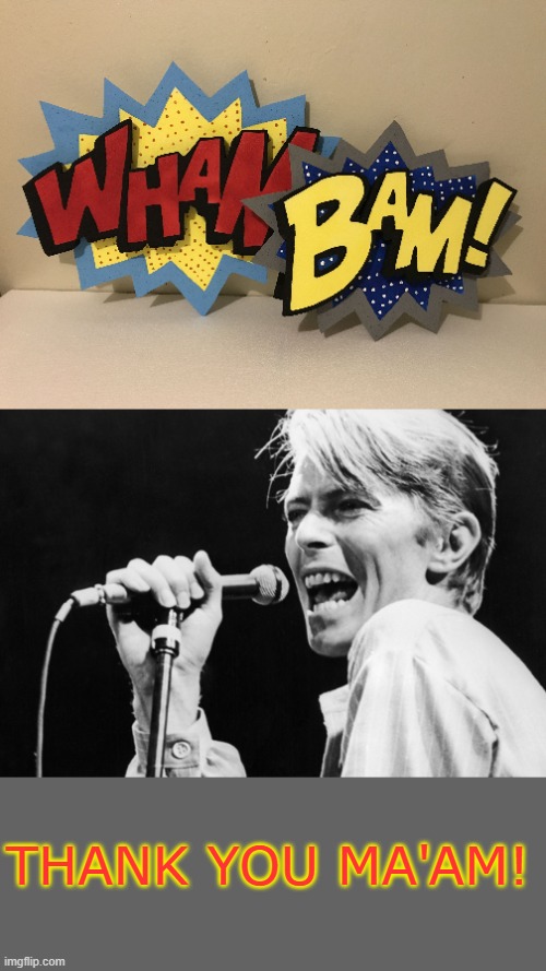 bowie | THANK YOU MA'AM! | image tagged in music | made w/ Imgflip meme maker