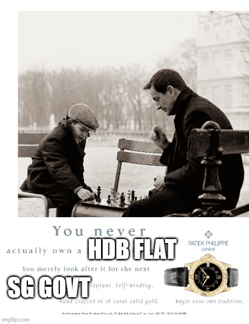 You never own | HDB FLAT; SG GOVT | image tagged in patek,never own | made w/ Imgflip meme maker