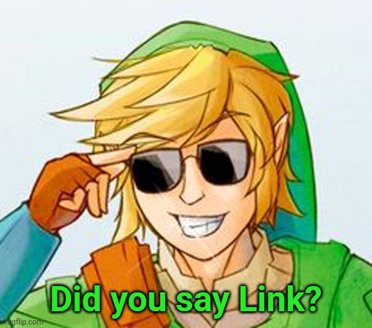 Troll Link | Did you say Link? | image tagged in troll link | made w/ Imgflip meme maker