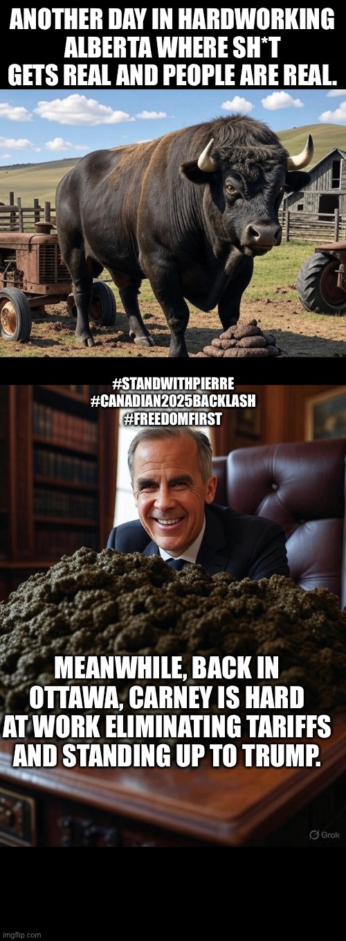 Canada rising | ANOTHER DAY IN HARDWORKING ALBERTA WHERE SH*T GETS REAL AND PEOPLE ARE REAL. #STANDWITHPIERRE
#CANADIAN2025BACKLASH
#FREEDOMFIRST; MEANWHILE, BACK IN OTTAWA, CARNEY IS HARD AT WORK ELIMINATING TARIFFS AND STANDING UP TO TRUMP. | image tagged in canadian politics | made w/ Imgflip meme maker