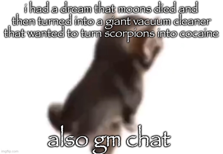 Side el gatito | i had a dream that moons died and then turned into a giant vacuum cleaner that wanted to turn scorpions into cocaine; also gm chat | image tagged in side el gatito | made w/ Imgflip meme maker