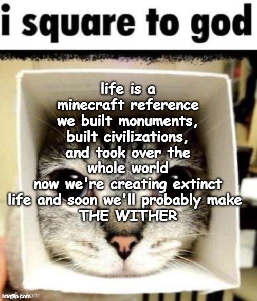 hear me out guys | life is a minecraft reference
we built monuments, built civilizations, and took over the whole world
now we're creating extinct life and soon we'll probably make 
THE WITHER | image tagged in i square to god | made w/ Imgflip meme maker