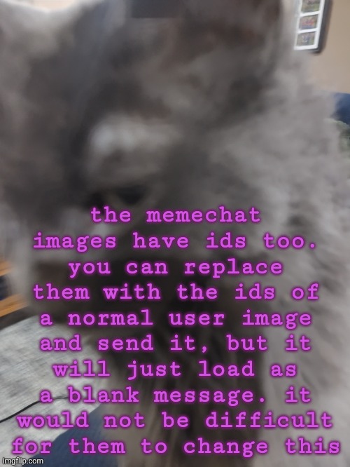 32's Cat | the memechat images have ids too. you can replace them with the ids of a normal user image and send it, but it will just load as a blank message. it would not be difficult for them to change this | image tagged in 32's cat | made w/ Imgflip meme maker