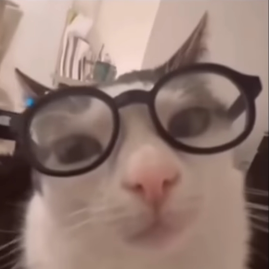 Erm... X actually is equal to Y... not Z! Blank Meme Template