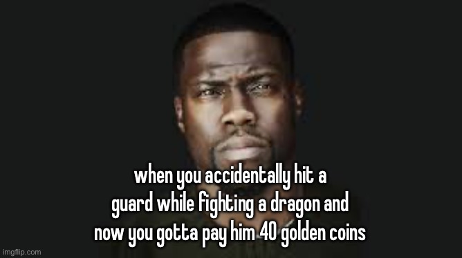 Kevin hart stare | when you accidentally hit a guard while fighting a dragon and now you gotta pay him 40 golden coins | image tagged in kevin hart stare | made w/ Imgflip meme maker