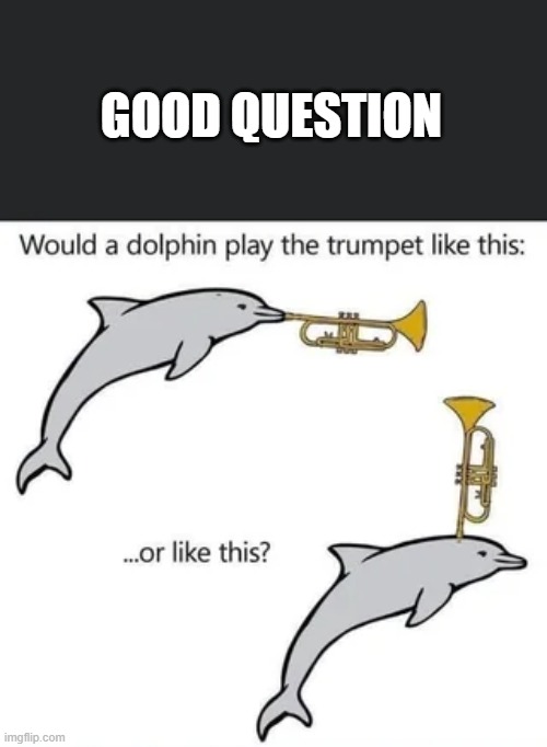 Dolphin Trumpet | GOOD QUESTION | image tagged in music | made w/ Imgflip meme maker