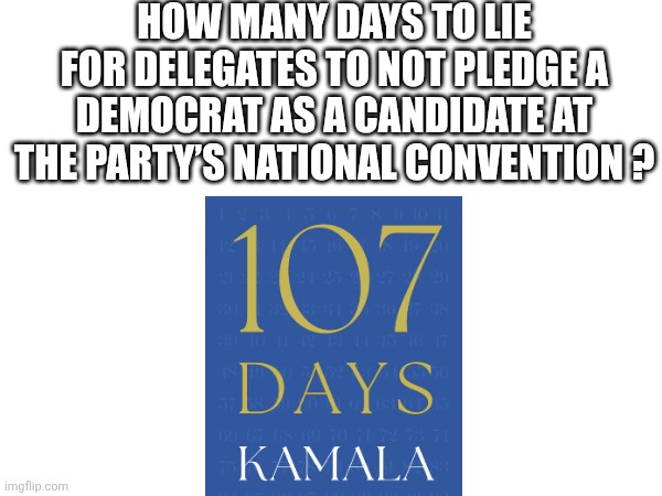 You SELECTED your  queen | HOW MANY DAYS TO LIE FOR DELEGATES TO NOT PLEDGE A DEMOCRAT AS A CANDIDATE AT THE PARTY’S NATIONAL CONVENTION ? | image tagged in leftists,liberals,democrats,harris,dnc,delegates | made w/ Imgflip meme maker