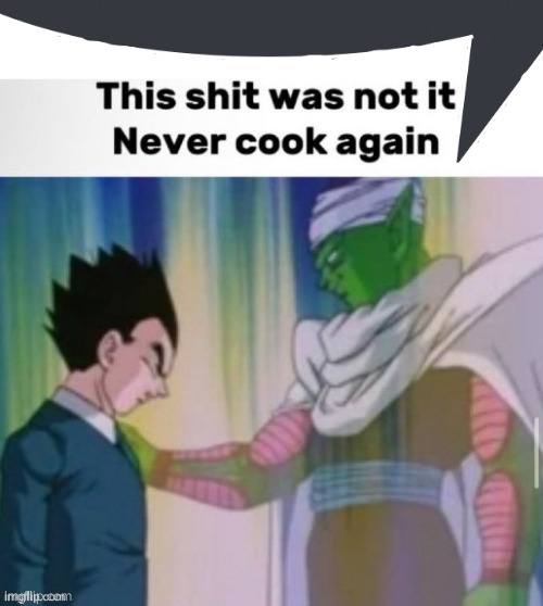 This shit was not it never cook again | image tagged in this shit was not it never cook again | made w/ Imgflip meme maker