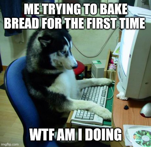 Bread | ME TRYING TO BAKE BREAD FOR THE FIRST TIME; WTF AM I DOING | image tagged in memes,i have no idea what i am doing | made w/ Imgflip meme maker