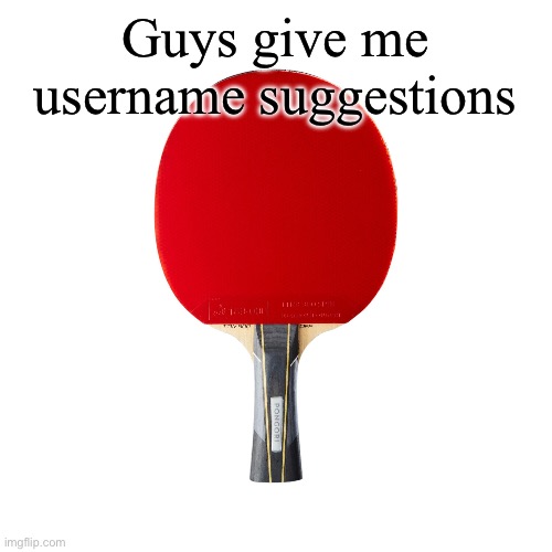 Ping pong | Guys give me username suggestions | image tagged in ping pong | made w/ Imgflip meme maker