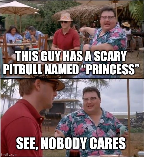 Pitbull | THIS GUY HAS A SCARY PITBULL NAMED “PRINCESS”; SEE, NOBODY CARES | image tagged in memes,see nobody cares | made w/ Imgflip meme maker