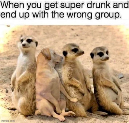 Best to cut back on the booze... | image tagged in too much,alcohol,drunk,consequences,we are not the same,lol | made w/ Imgflip meme maker