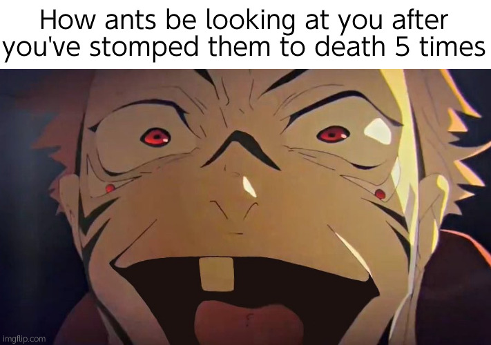No head yet still functional | How ants be looking at you after you've stomped them to death 5 times | image tagged in thukuna | made w/ Imgflip meme maker