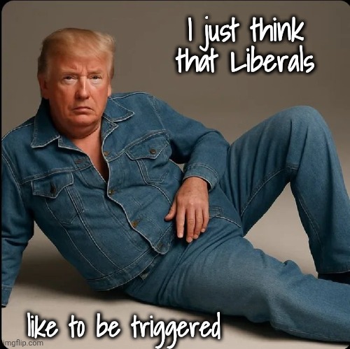 I just think that Liberals like to be triggered | made w/ Imgflip meme maker