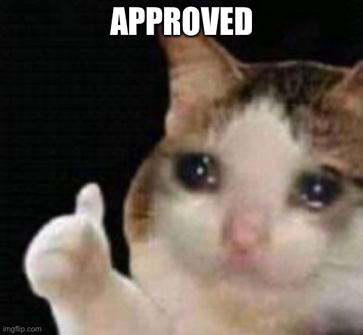 Approved crying cat | APPROVED | image tagged in approved crying cat | made w/ Imgflip meme maker