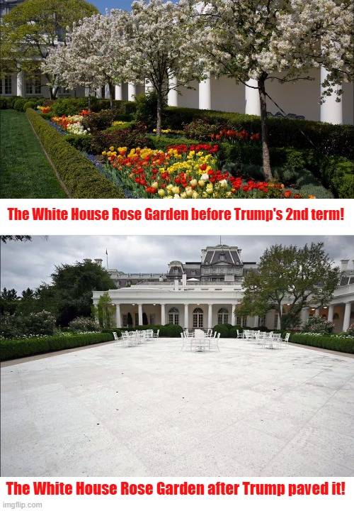 Trump's making the White House "A masterpiece of bad taste"! | The White House Rose Garden before Trump's 2nd term! The White House Rose Garden after Trump paved it! | image tagged in donald trump,white house,rose garden,bad taste | made w/ Imgflip meme maker