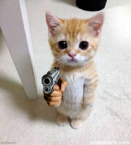 Cute Cat Meme | image tagged in memes,cute cat | made w/ Imgflip meme maker