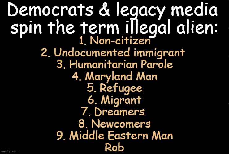 Let Me Count the Ways | Democrats & legacy media 

spin the term illegal alien:; 1. Non-citizen
2. Undocumented immigrant 
3. Humanitarian Parole
4. Maryland Man
5. Refugee
6. Migrant
7. Dreamers 
8. Newcomers
9. Middle Eastern Man

Rob | image tagged in democrats,mainstream media,biased media,illegal aliens,wait that's illegal | made w/ Imgflip meme maker