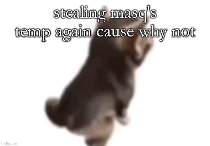 whoever steals my temps is getting railed | stealing masq's temp again cause why not | image tagged in side el gatito | made w/ Imgflip meme maker