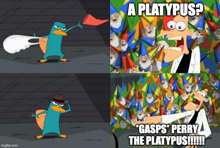 An ordinary Platypus? | A PLATYPUS? *GASPS* PERRY THE PLATYPUS!!!!!! | image tagged in an ordinary platypus | made w/ Imgflip meme maker