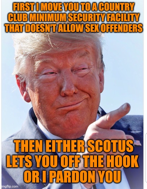 Trump pointing | FIRST I MOVE YOU TO A COUNTRY CLUB MINIMUM SECURITY FACILITY THAT DOESN'T ALLOW SEX OFFENDERS THEN EITHER SCOTUS LETS YOU OFF THE HOOK 
OR I | image tagged in trump pointing | made w/ Imgflip meme maker