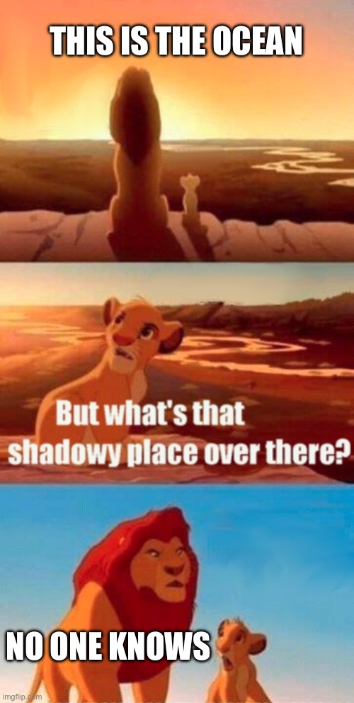 What’s down there? | THIS IS THE OCEAN; NO ONE KNOWS | image tagged in memes,simba shadowy place | made w/ Imgflip meme maker