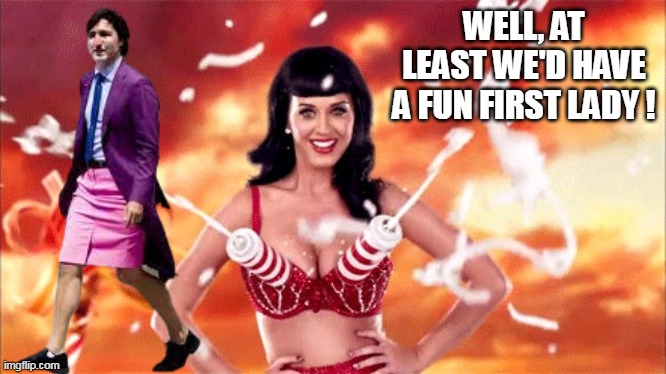 WELL, AT LEAST WE'D HAVE A FUN FIRST LADY ! | made w/ Imgflip meme maker