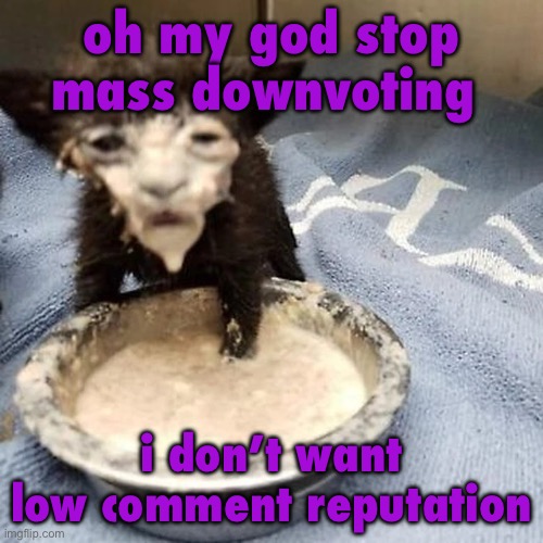 Pie :3 | oh my god stop mass downvoting; i don’t want low comment reputation | image tagged in pie 3 | made w/ Imgflip meme maker
