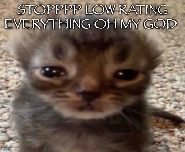 i just got low comment reputation so now i can’t comment unless someone upvotes my comments | STOPPPP LOW RATING EVERYTHING OH MY GOD | image tagged in my brain itches | made w/ Imgflip meme maker