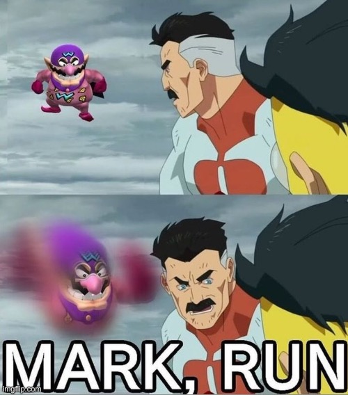 Meme | image tagged in meme,invincible,wario | made w/ Imgflip meme maker