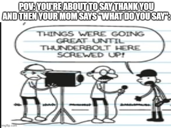 POV: YOU'RE ABOUT TO SAY THANK YOU AND THEN YOUR MOM SAYS "WHAT DO YOU SAY": | image tagged in greg heffley | made w/ Imgflip meme maker