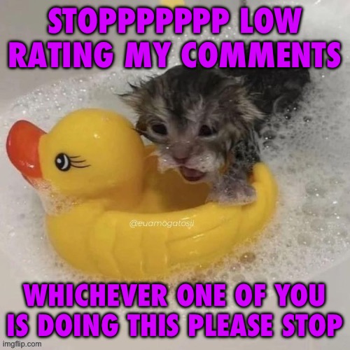 I’M GONNA EXPLODE | STOPPPPPPP LOW RATING MY COMMENTS; WHICHEVER ONE OF YOU IS DOING THIS PLEASE STOP | image tagged in watr | made w/ Imgflip meme maker
