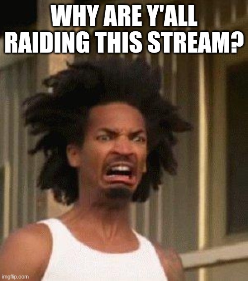 Disgusted Face | WHY ARE Y'ALL RAIDING THIS STREAM? | image tagged in disgusted face | made w/ Imgflip meme maker