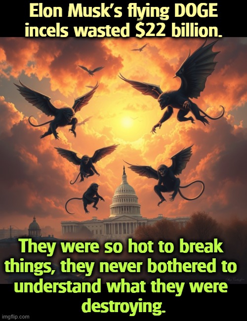 Elon Musk's flying DOGE incels wasted $22 billion. They were so hot to break 
things, they never bothered to 
understand what they were 
destroying. | image tagged in trump,elon musk,doge,waste,fraud,abuse | made w/ Imgflip meme maker
