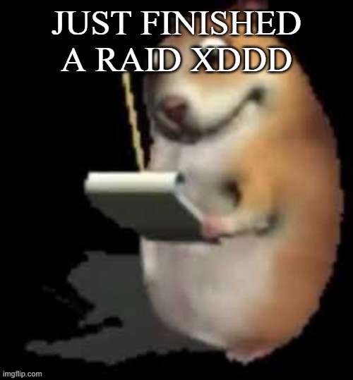 Chomik type | JUST FINISHED A RAID XDDD | image tagged in chomik type | made w/ Imgflip meme maker