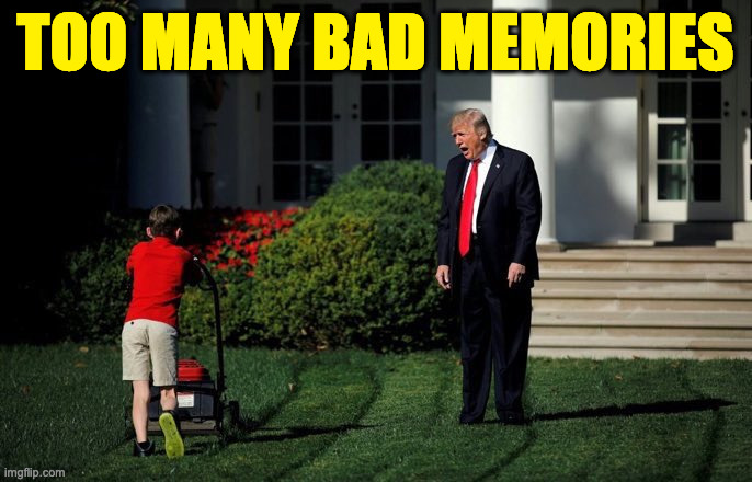 Trump Lawn Mower | TOO MANY BAD MEMORIES | image tagged in trump lawn mower | made w/ Imgflip meme maker