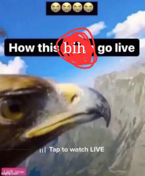 bih | made w/ Imgflip meme maker