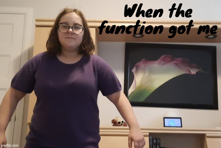 Mood rn | When the function got me | made w/ Imgflip meme maker