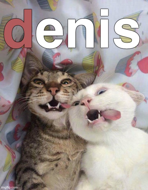 d enis | made w/ Imgflip meme maker