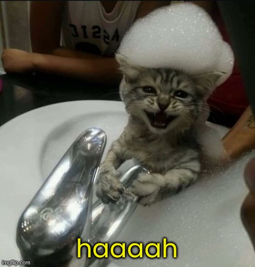 haaaah | made w/ Imgflip meme maker