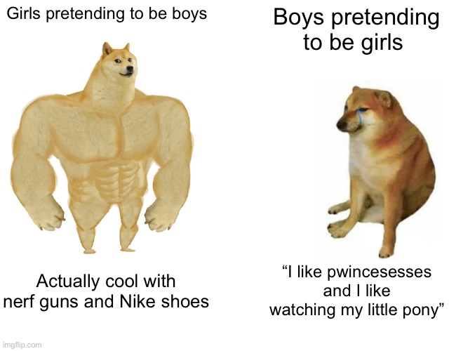 True no offense | Girls pretending to be boys; Boys pretending to be girls; Actually cool with nerf guns and Nike shoes; “I like pwincesesses and I like watching my little pony” | image tagged in memes,buff doge vs cheems,hahaha | made w/ Imgflip meme maker
