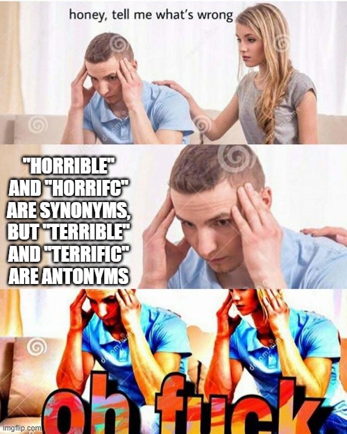 This is terrible | "HORRIBLE" AND "HORRIFC" ARE SYNONYMS, BUT "TERRIBLE" AND "TERRIFIC" ARE ANTONYMS | image tagged in honey tell me what's wrong,english is a stupid language | made w/ Imgflip meme maker