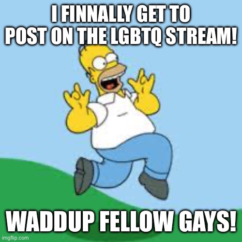 Hoora! | I FINNALLY GET TO POST ON THE LGBTQ STREAM! WADDUP FELLOW GAYS! | image tagged in hooray homer | made w/ Imgflip meme maker