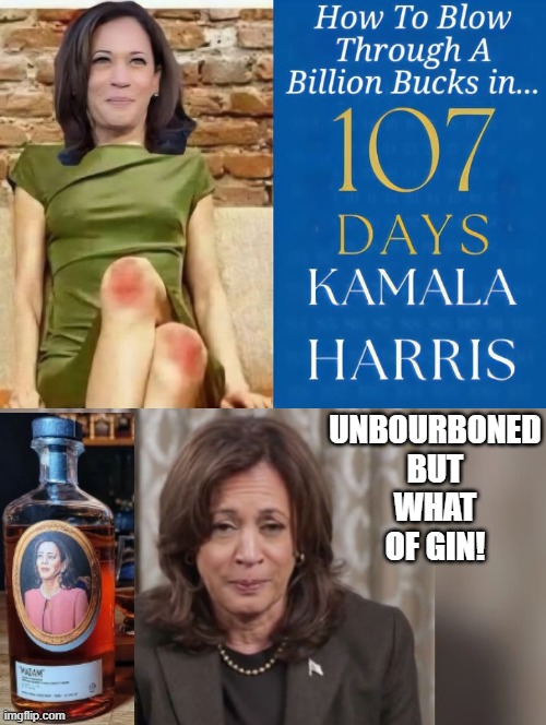 How a Drunk Kamala blows through a billion bucks! | UNBOURBONED BUT WHAT OF GIN! | image tagged in kamala harris | made w/ Imgflip meme maker